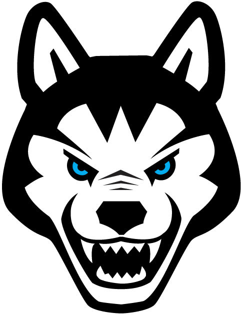 Northeastern Huskies 2001-2006 Alternate Logo iron on transfers for T-shirts